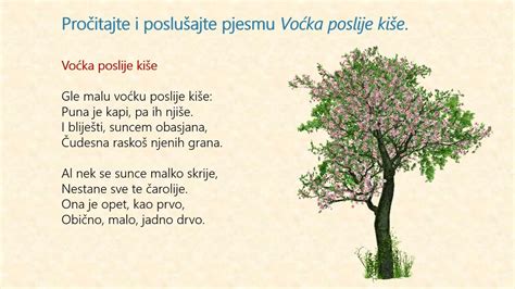 Hrvatski Jezik Razred O Dobri A Cesari Izbor Iz Poezije Dio Youtube