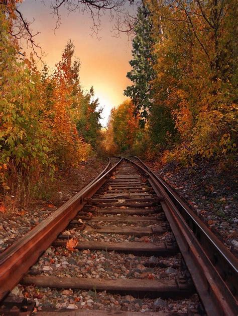 2019 Railway Photography Background Countryside Autumn Scenery Forest