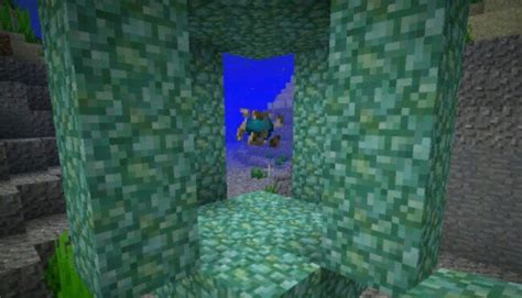 Btw are shipwrecks and abandoned structures underwater rare? Minecraft 1.13 - Conduit, Heart of the Sea, Nautilus Shell ...