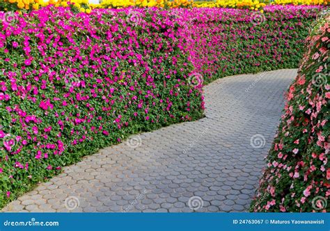 Garden And Path Stock Image Image Of Colorful Home 24763067
