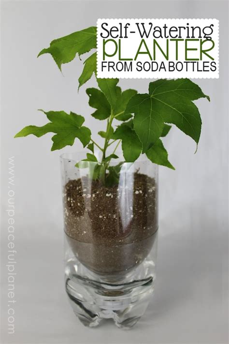 Unique Planters From Soda Bottles Our Peaceful Planet