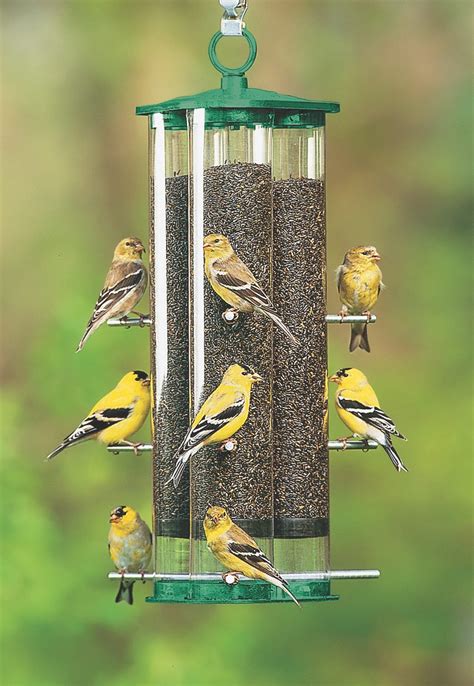 The Best Finch Feeders to Serve Thistle Seed - Birds and Blooms