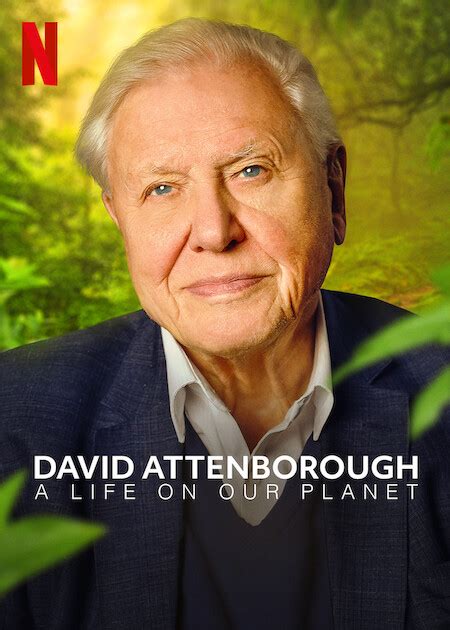 David Attenborough A Life On Our Planet Netflix Media Center