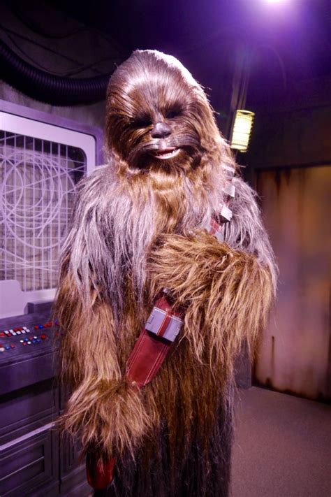 Chewbacca Meet And Greet At Star Wars Launch Bay At Hollywood Studios