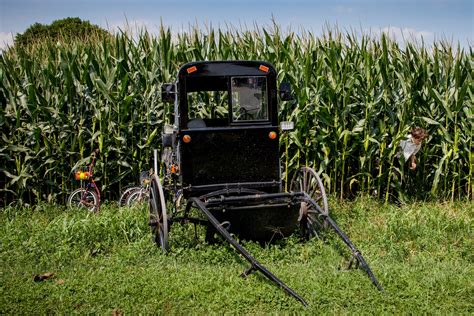 in amish country the future is calling the new york times