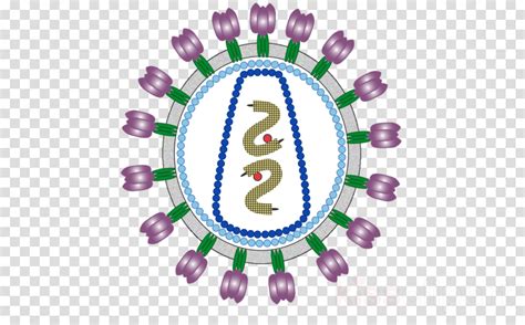 Hiv Virus Clipart 10 Free Cliparts Download Images On Clipground 2024