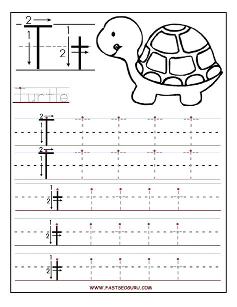 Pin on MFWK Unit 06 Turtle