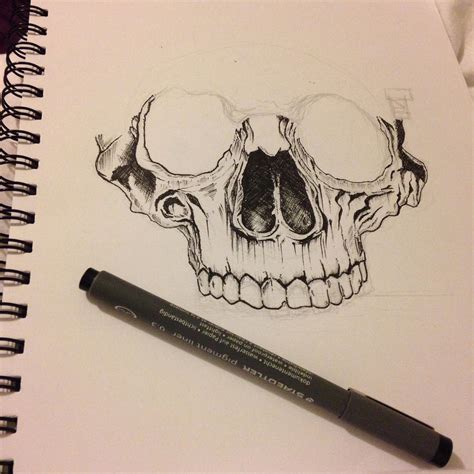 Skull Pen Ink Drawing Progress By Madelinemaligro On Deviantart