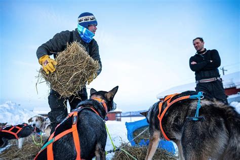 Norwegian Musher Takes Lead In Iditarod As Finish Nears
