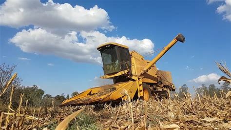 Colhendo Milho Safrinha Com Uma New Holland Clayson 1530 Vida Real 2019 Pt Br Youtube