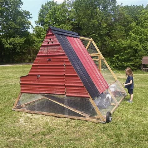 Aug 11, 2017 · chickens are able to run up to 9 mph. easy chicken run Ideas | Chickens backyard, Chicken ...