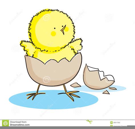 Chick Hatching Clipart Free Images At Clker Com Vector Clip Art
