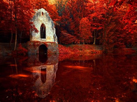 Wallpaper Sunlight Trees Fall Night Water Red Ruin Reflection