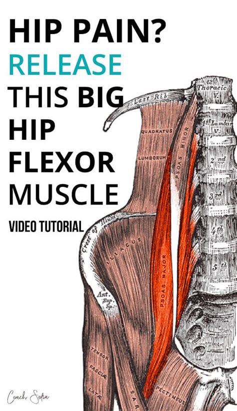 Heres A Video Tutorial To Show You How To Effectively Release Your Hip