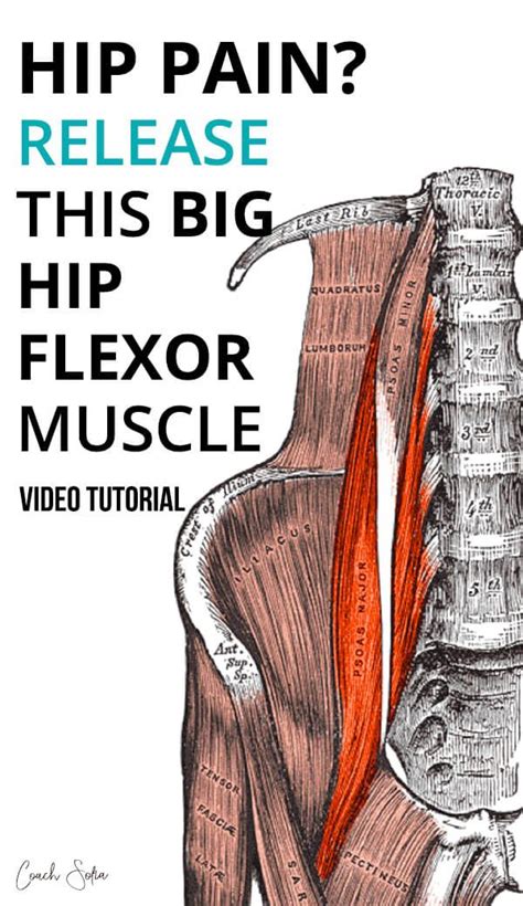 Maybe you would like to learn more about one of these? Pin on Exercise