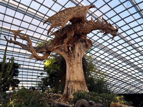 Gardens by the bay is a popular tourist destination in singapore, here's our guide to enjoy it like a local. Wooden Wyvern (Dragon) by Sculptor James Doran, located ...