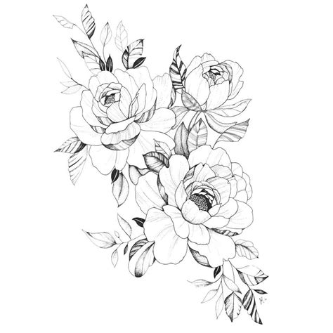 Peony Ink Drawing Flower Tattoo Shoulder Flower Sketches Peony Drawing