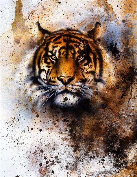 Tiger Collage On Color Abstract Background Rust Structure Wildlife