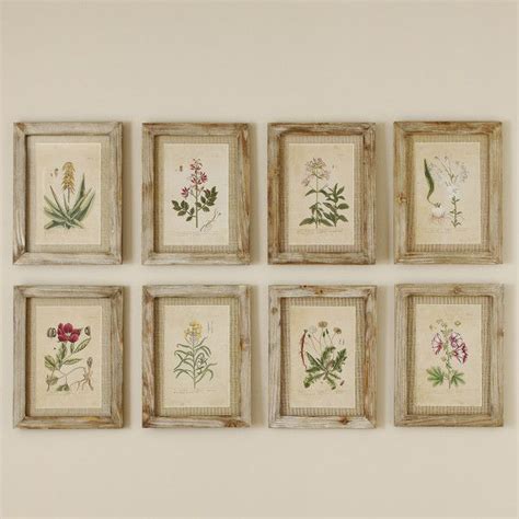 Secret Garden Framed Prints Framed Botanical Prints Framed Botanicals