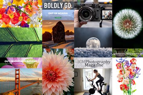 Create an Online Vision Board with Adobe Spark - January 9, 2021
