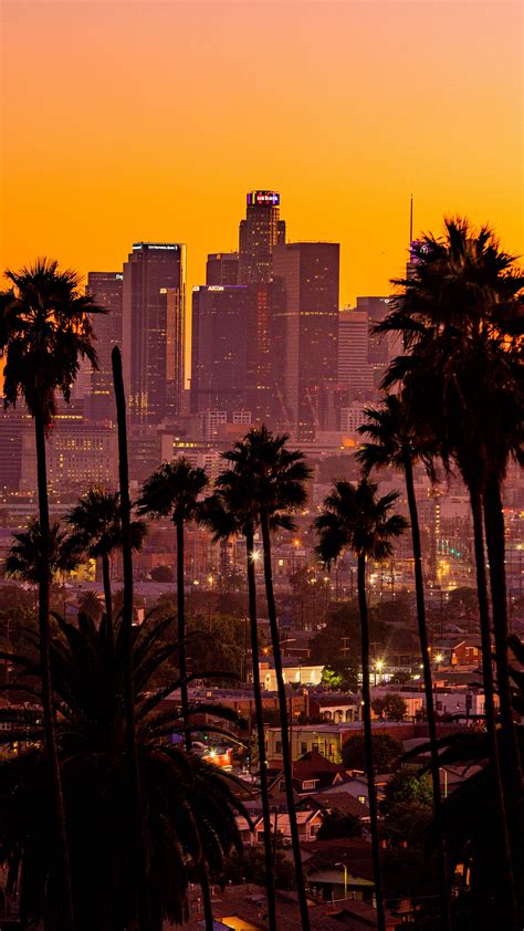 Download Wallpaper 2160x3840 City Palm Trees Sunset Buildings