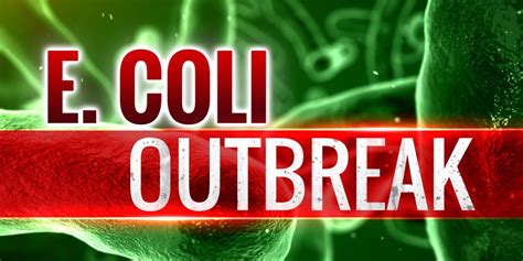 Mystery E Coli Outbreak Sickens 72 People In 5 States