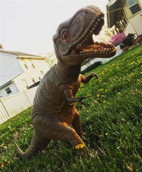 Welcometo Jurassic Park 🦖 Holdontoyourbutts Jurassic Park Instagram Posts Instagram