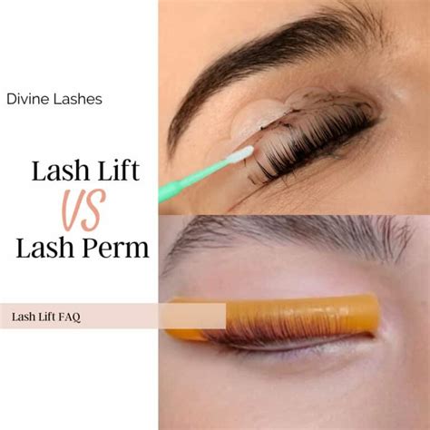 lash lift vs lash perm what s the difference and which is best