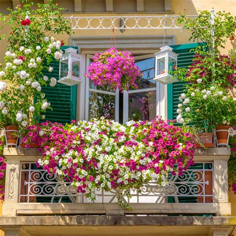 Ways To Create A Small Balcony Garden Ferns N Petals