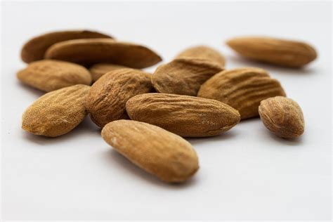Almond Stone Seeds · Free Photo On Pixabay