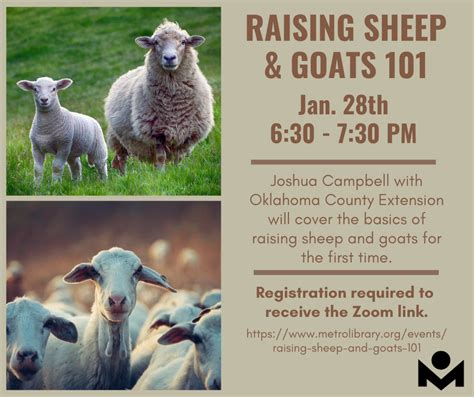 Raising Sheep And Goats 101 Metropolitan Library System