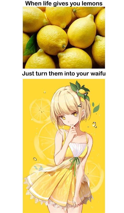 really funny memes stupid funny memes kawaii neko girl manga anime anime art jokes pics