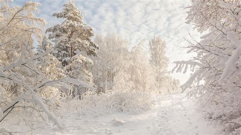 Beautiful Snowy Russian Winter Hd Wallpapers Volganga Winter