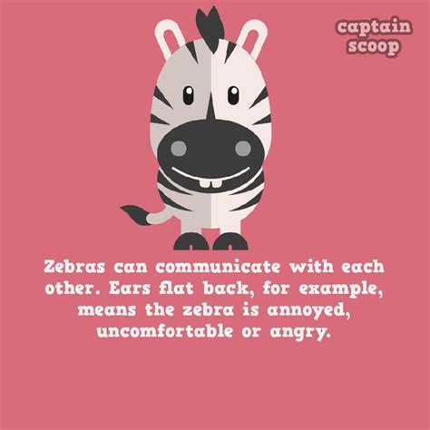 Ready for an adventure, gang? 15 Amazing Facts You Never Know About Animals | Reckon Talk