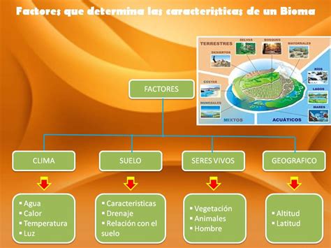 Historia En El Aula Ecosistemas Y Biomas