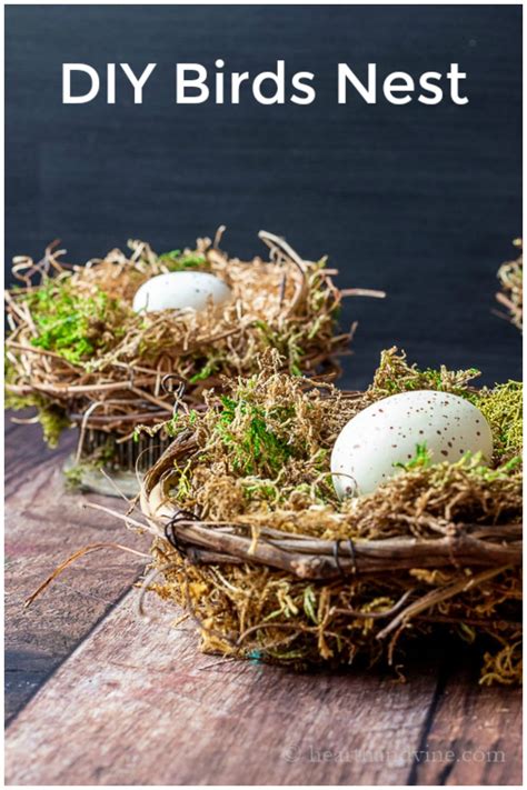 Bird Nest Craft For Your Spring Decor Hearth And Vine