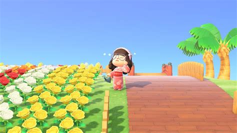 I like to keep certain. 5 things that could use an update in Animal Crossing: New ...