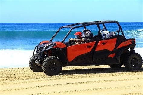 Shuttle service, airport transfer service and concierge service are available here. Cactus Tours (Cabo San Lucas) - 2020 All You Need to Know ...