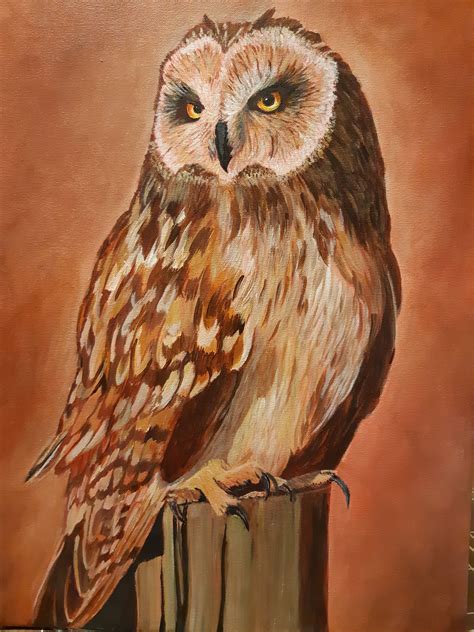 Owl In Acrylic Acrylic Art Acrylic Painting Local Art