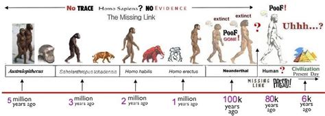 Hominids Evolution Timeline