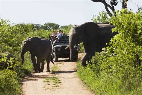 10 Types Of African Safaris Different Ways To Experience A Safari Zicasso