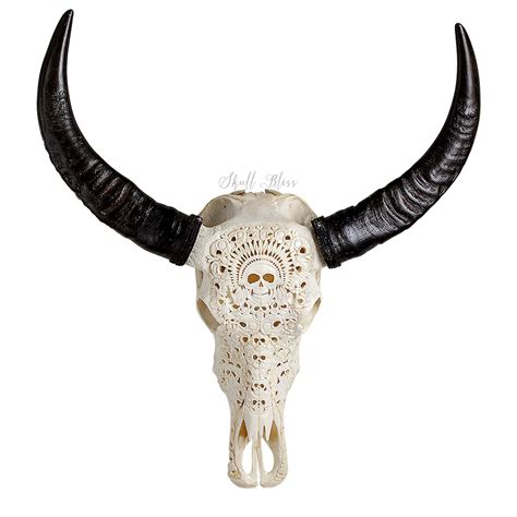 Animal Skulls Cattle Horn Bone Buffalo Skull Png Download 10001000