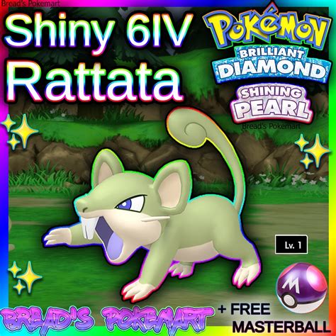 Shiny Rattata 6iv Pokemon Brilliant Diamond And Shining Pearl Etsy