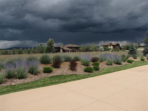 Find a spot in your yard where you can easily direct the runoff from don't forget to call before you dig so you don't hit any buried utility lines! Best Design Landscape Berm | Walsall Home and Garden