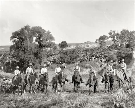 Cowboys On Cattle Drive 1879