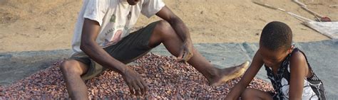 Child Labour In Cocoa Ici Cocoa Initiative