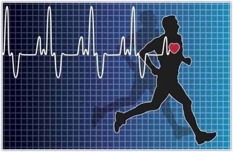 Average Heart Rate During Exercise Workouts Life