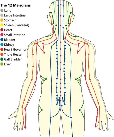 Energy Flow Understanding The Bodys Meridian Lines Acupressure Treatment Acupuncture