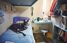 prison dogs dog california inside inmate cell shelby time inmates rescue train where named sitting state