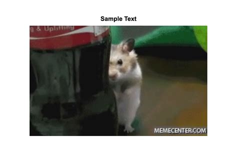 Soon Hamster Animated  Maker Piñata Farms The Best Meme